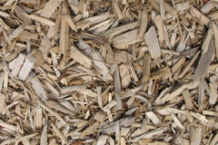 biomass boilers Warblington