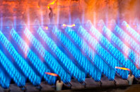 Warblington gas fired boilers
